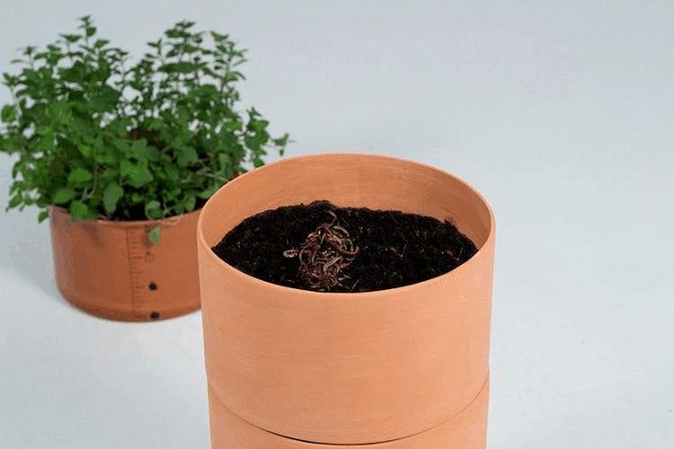 花盆里的小白虫对花有害吗,花盆里的小飞虫对植物有什么危害