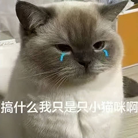 澳洲留学雅思报考攻略,申请澳洲高中雅思要求