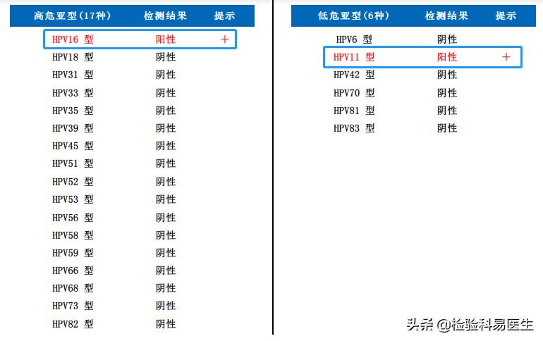 女性宫颈病变怎么引起的,hpv阴性为什么会宫颈高度病变