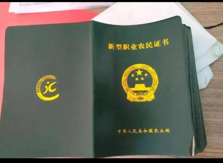 农民证有什么补贴,村里有好几种证可以领补贴