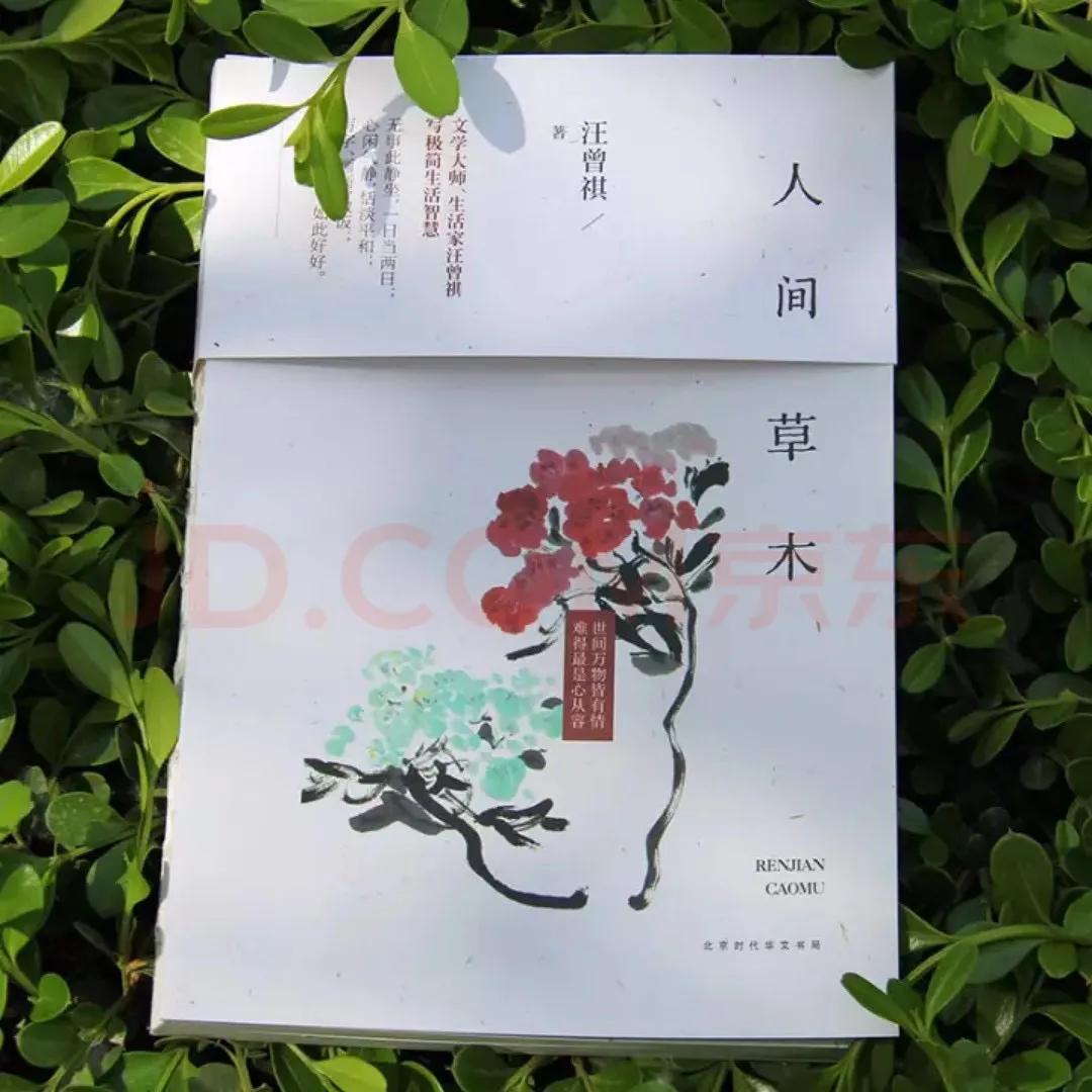 书香花香完整版,书香花香文案