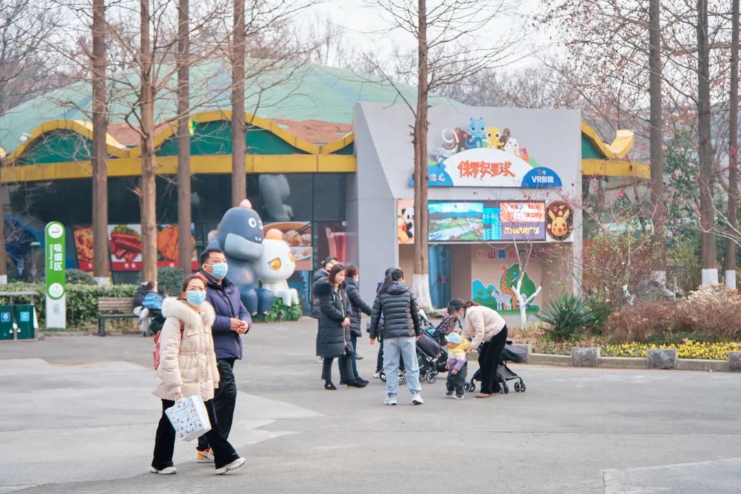 红山动物园亏损3千万网友很着急,近两年疫情原因导致亏损如何翻身