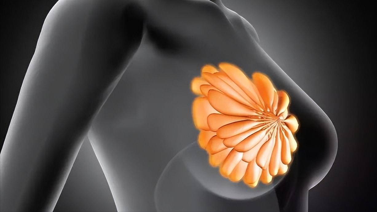 中老年人群，有*生活性**和没*生活性**，差别竟这么大？看完让人开眼