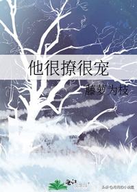 黎明前他会归来完结篇藤萝为枝txt,藤萝为枝作品后记