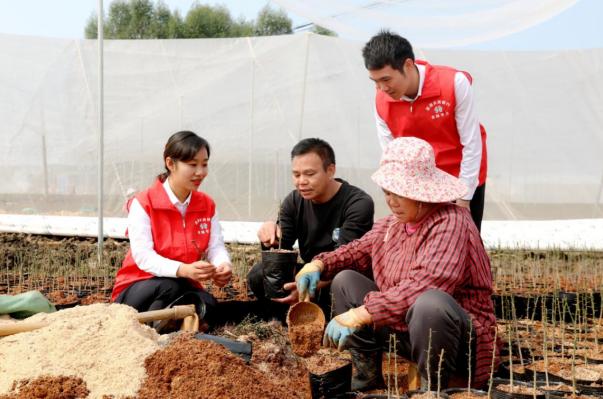 兔飞猛进开门红,兔飞猛进辞旧迎新