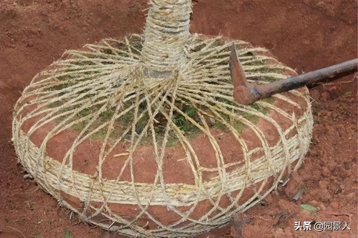 标杆房企园林景观工序,最新热销地产项目景观设计全解密