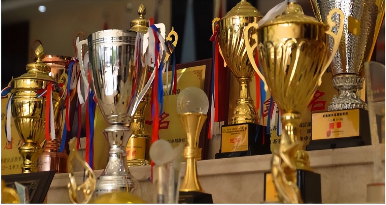 又获大奖！不愧是南京南大门最强初中