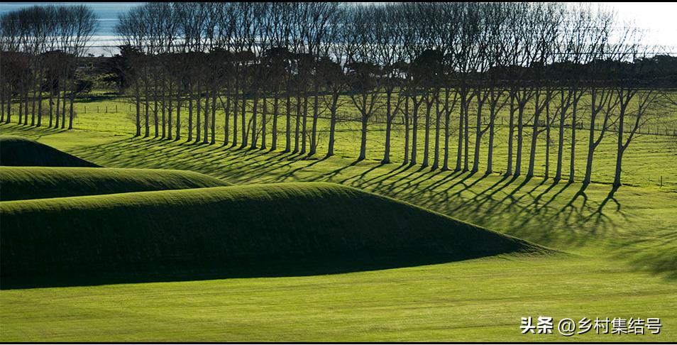 新西兰吉布斯农场——当农业与艺术开始跨界合作，会出现?