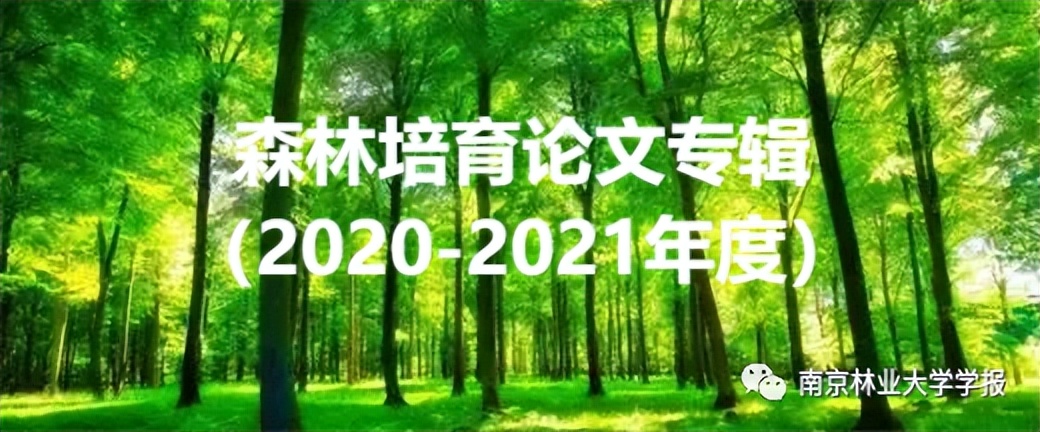 专辑速递||2020—2021年森林培育论文专辑