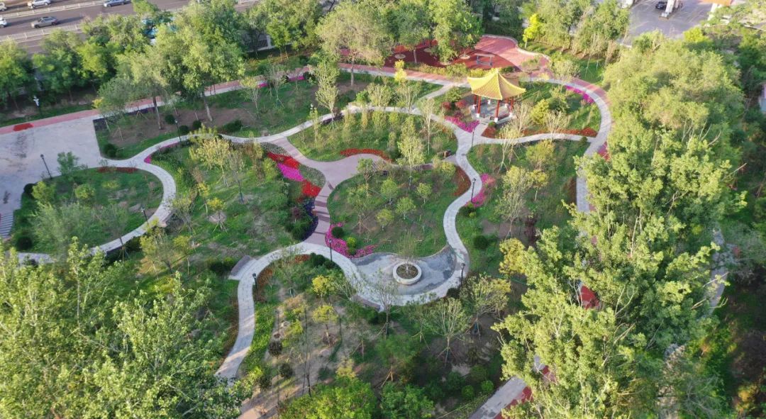 天津市中心公园改造,天津第二工人文化宫公园