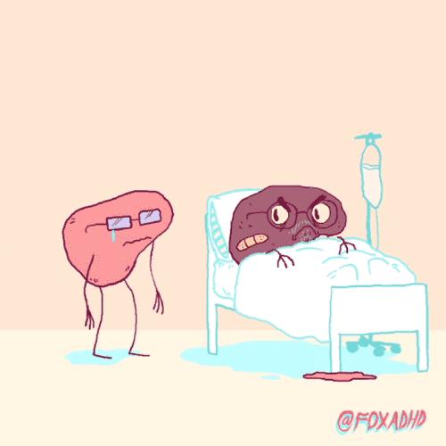 启动患者招募！间充质干细胞为肝硬化治疗提供新选择