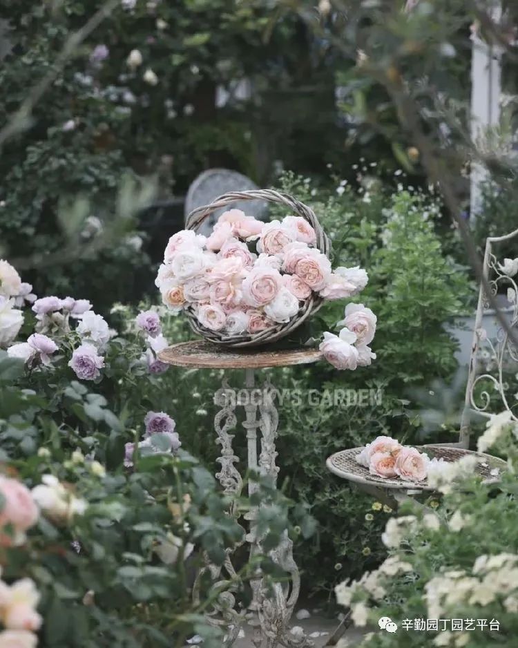 第八届园丁奖露台组《030号》洛基花园