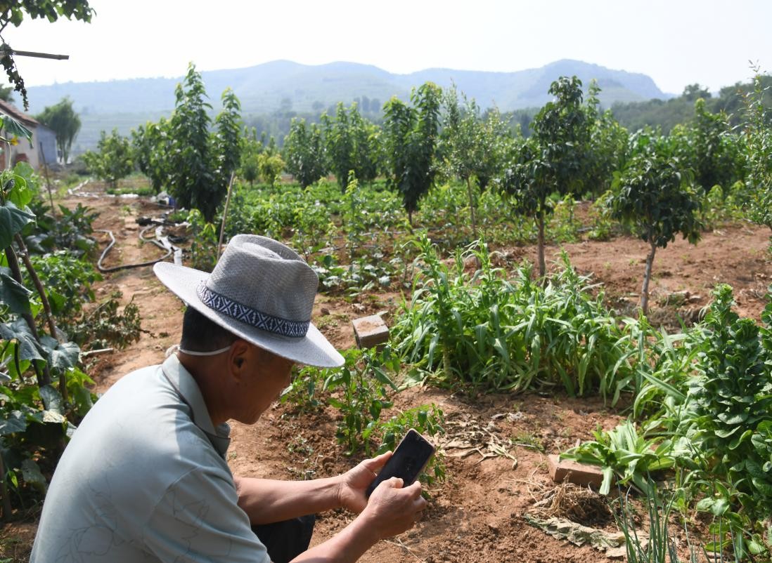 潍坊联通定点帮扶临朐县黄山村的“数字乡村”成长记
