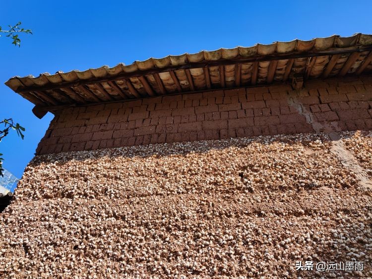 云南昆明滇池小渔村展新颜,滇池边的小渔村