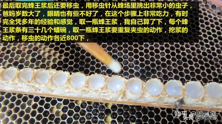 蜂王浆是怎么生产的,蜂王浆的储存方法和食用方法