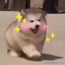 西班牙护肤好物推荐,西班牙女性内调保养品