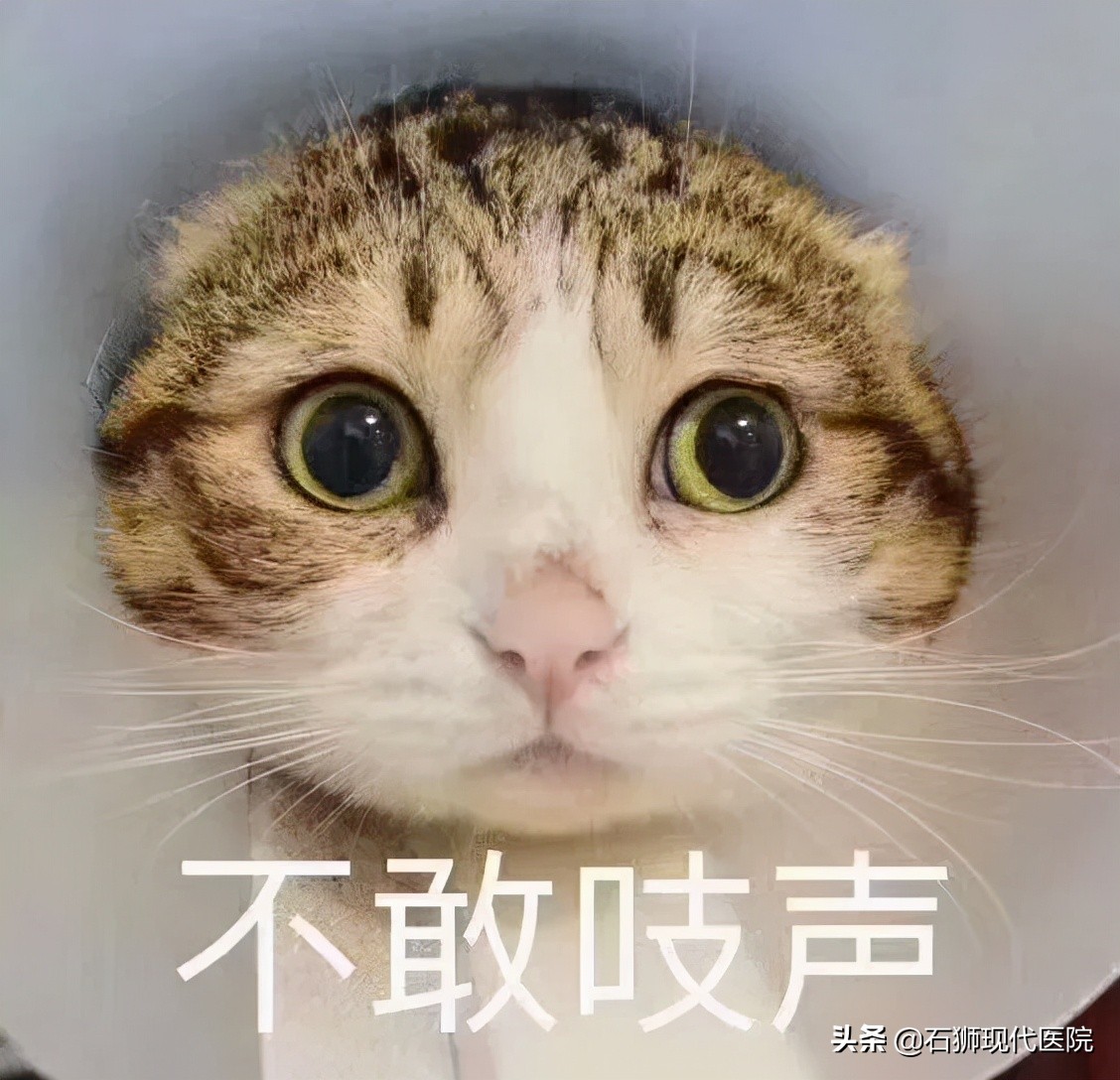 妇科专家解答：「药流」的伤害真的比「人流」小吗？