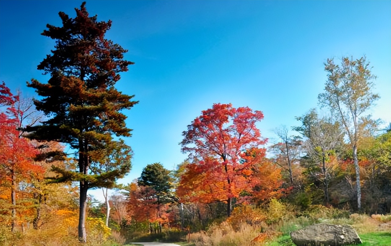 黑龙江省内自驾旅游线路推荐,黑龙江附近沿海城市开车自驾