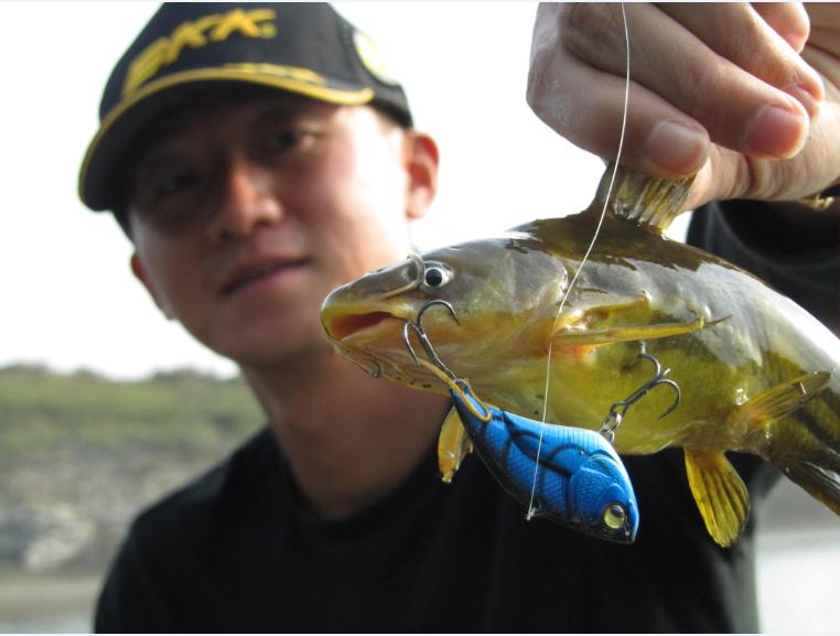 新手钓鱼入门基本知识,水库钓鱼技巧新手入门