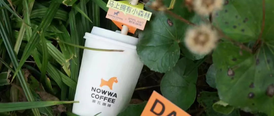 喜茶投资的咖啡,喜茶投资一家店多少钱