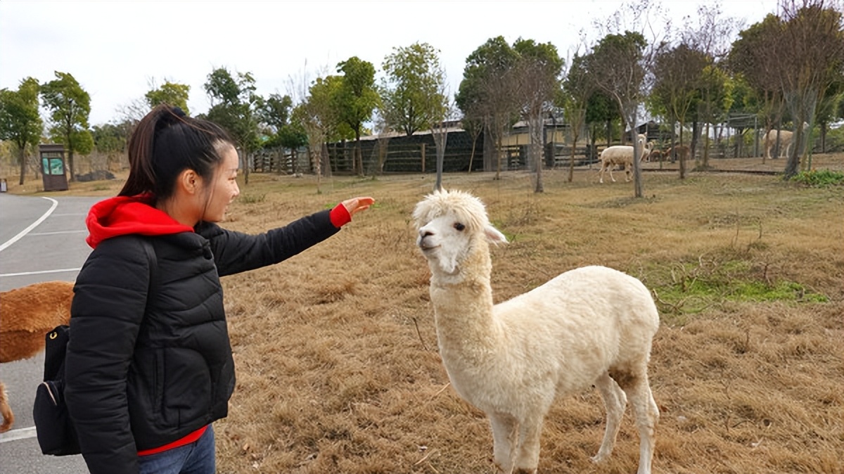 在江苏的“绿林仙海”中，寻找侠气与柔情