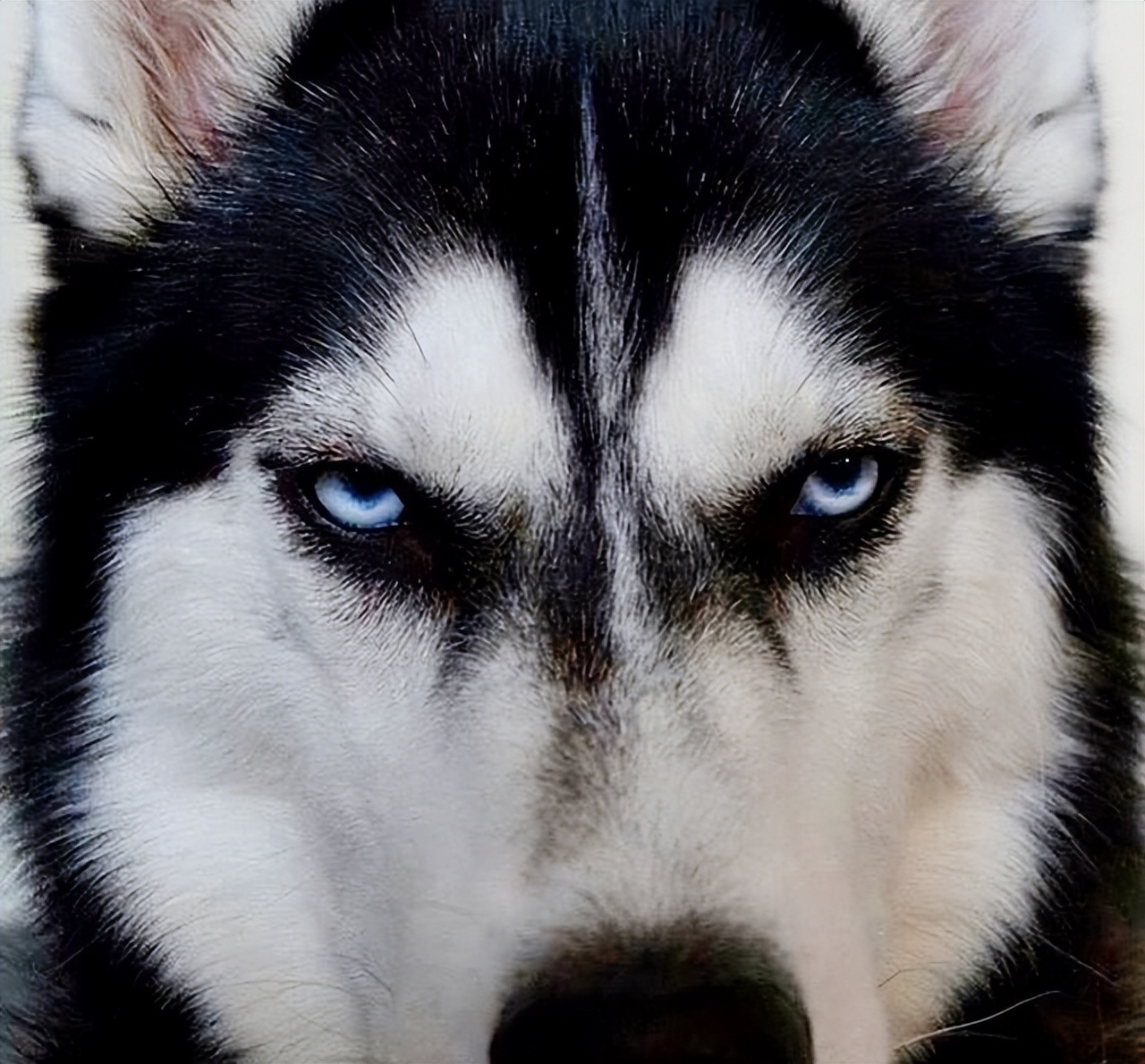 dnf大转移剧情详细解析,dnf大转移之前剧情