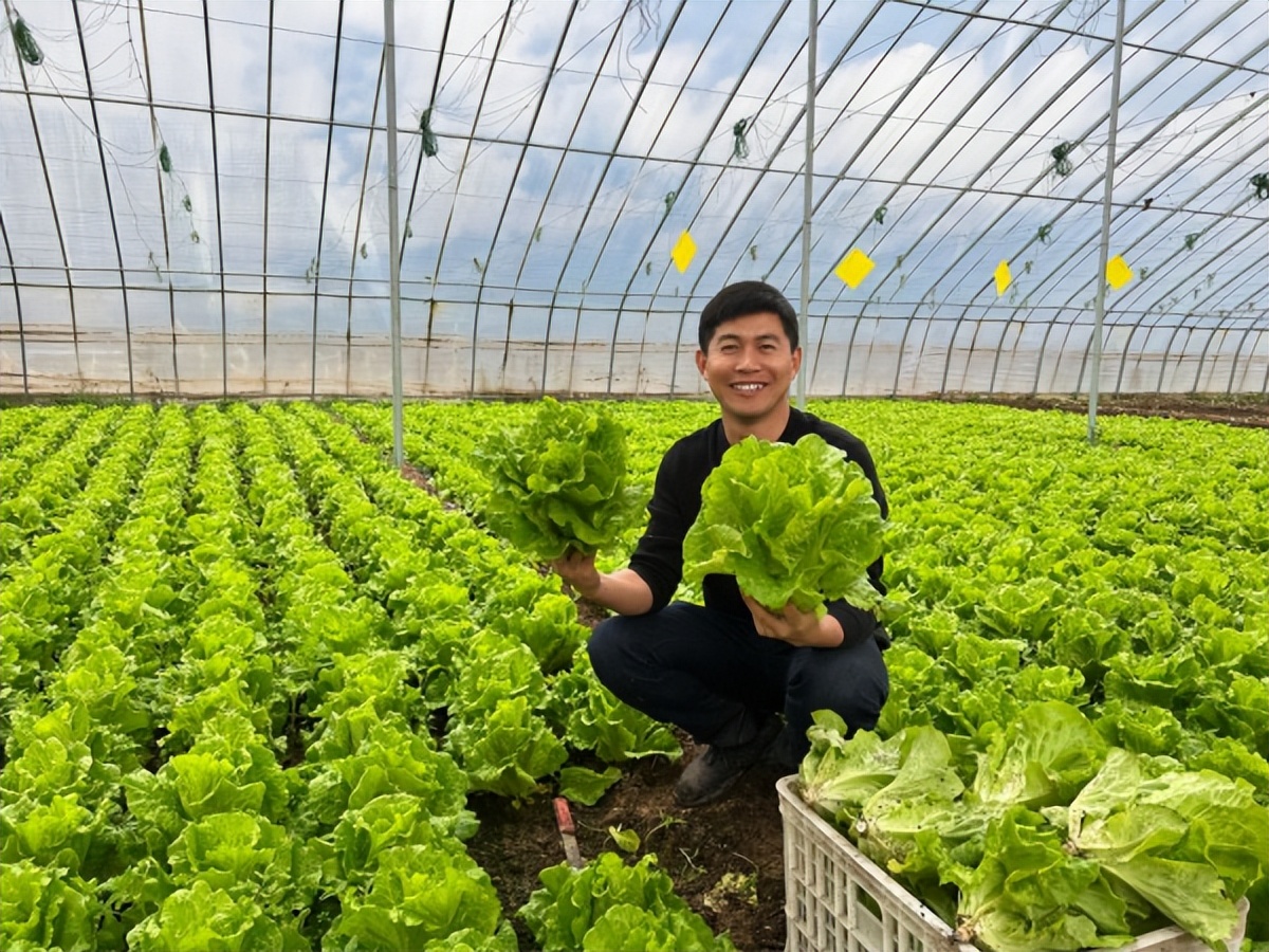 z世代创业年轻人,z世代成长中的新一代青年