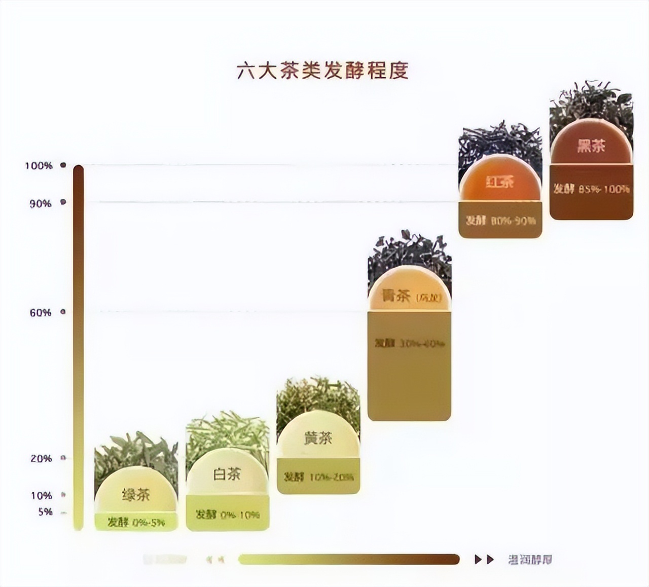 茶是什么意思,茶是什么颜色