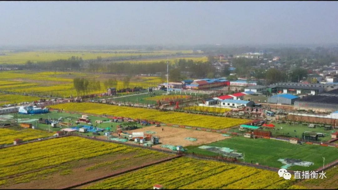 衡水市现代农业园区,衡水农业产业化助力乡村振兴