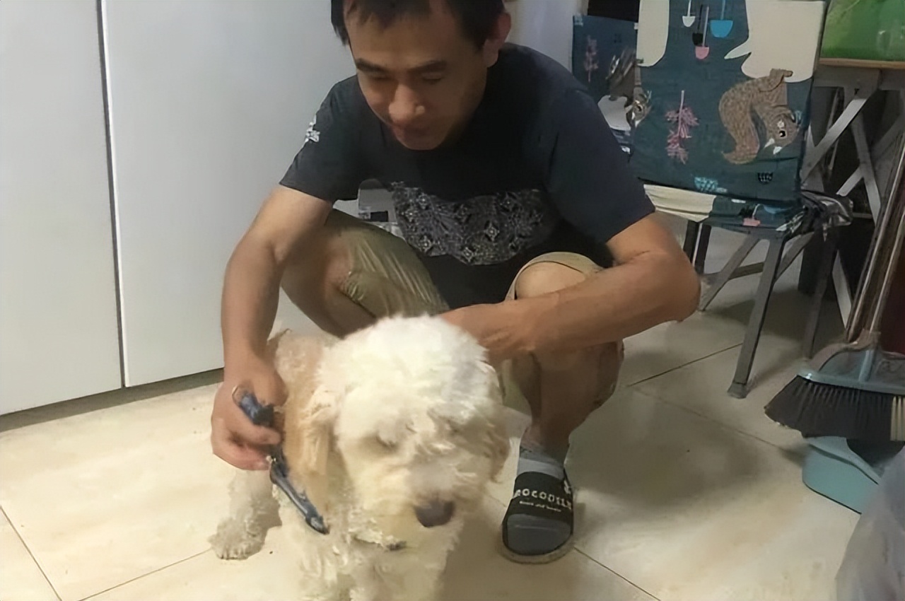 5万元在鹤岗买房的年轻人生活,鹤岗1万5买房热议