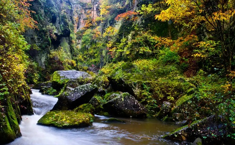 黑龙江冷门旅游城市,黑龙江省五一冷门亲子游