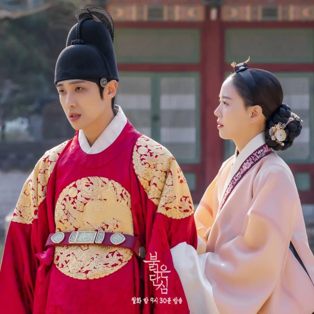 今年好看的宫廷剧推荐,高分宫廷剧