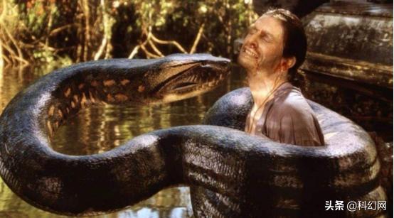 盘点老科幻电影中怪兽大战,全球公认十部顶级怪兽科幻电影