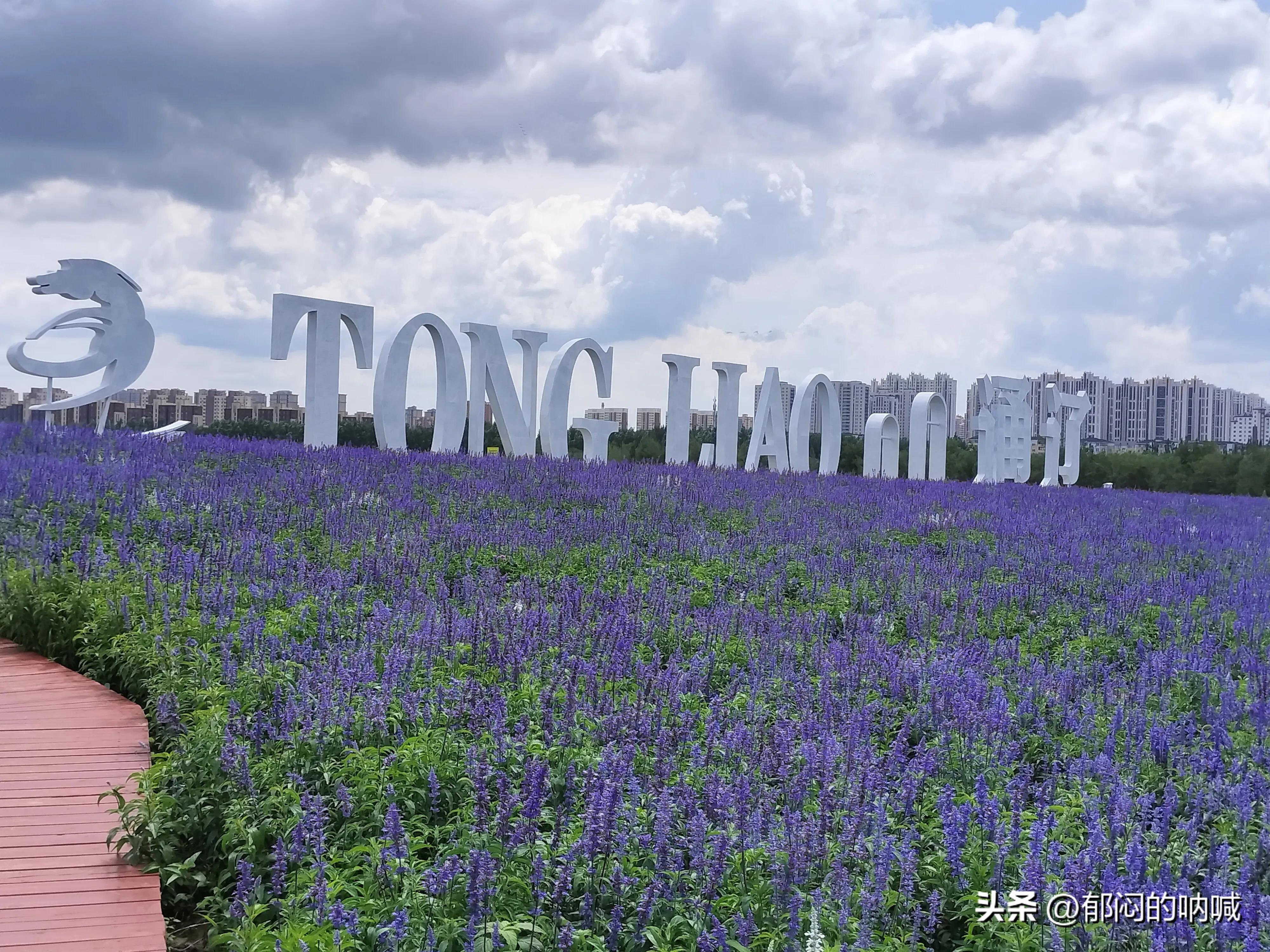 通辽薰衣草庄园门票,通辽薰衣草庄园四月