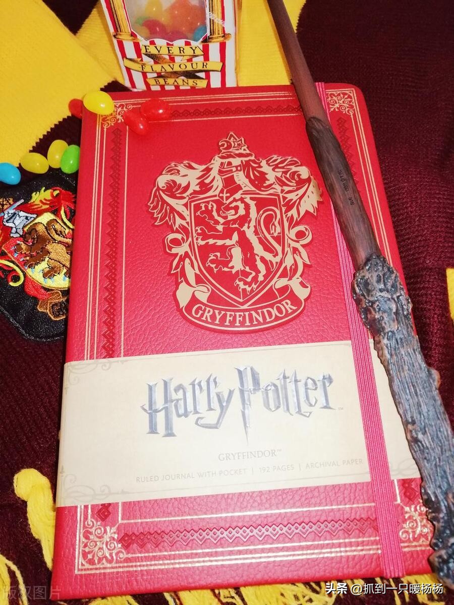 大学生必看书籍排行榜前十名,适合大学生读的人情世故书籍