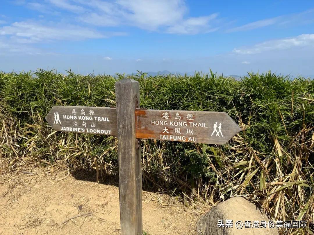 在哪申请香港移民最容易,怎样申请专才移民香港