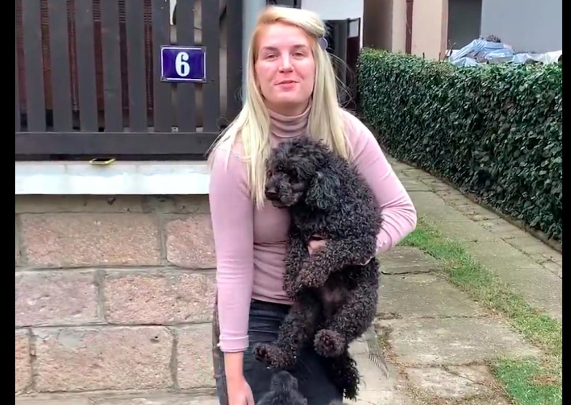 泰迪在路上求救,泰迪从车上掉下来追着主人