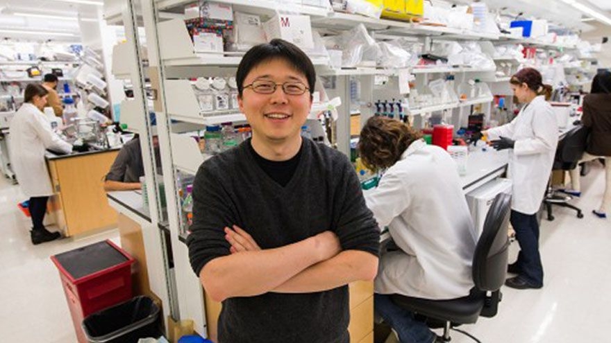 美国基因编辑技术成功案例,最新基因编辑技术新突破