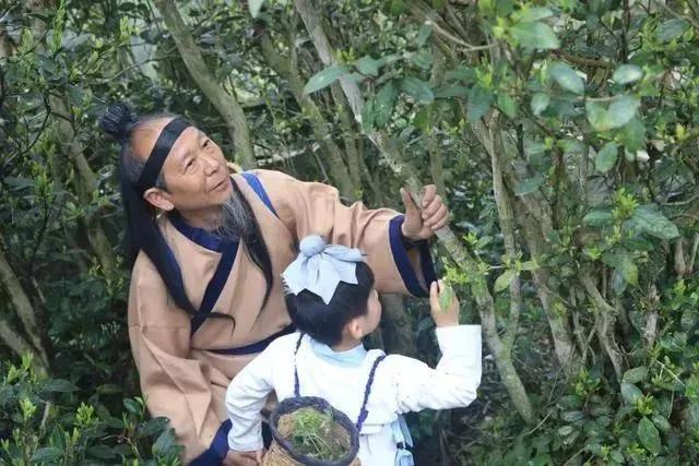 广元秦巴秘境,广元适合探险的神秘地方