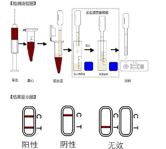 百万年薪兽医师,兽医治老牛病