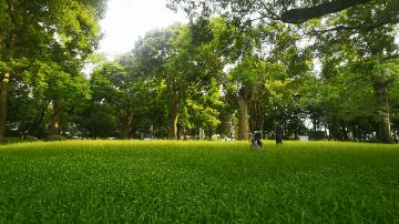 中山为什么出名,中山为什么这么值得买