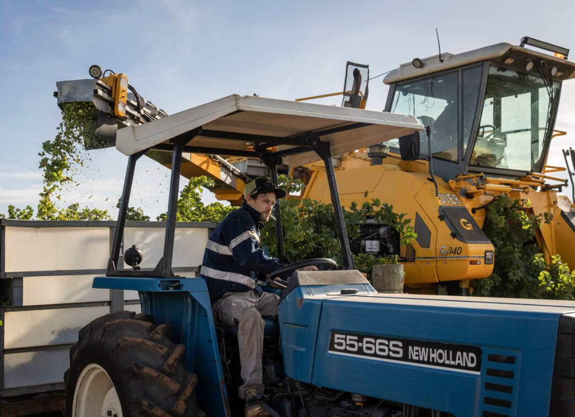 澳大利亚葡萄酒行业陷入危机,澳大利亚葡萄酒为什么反倾销