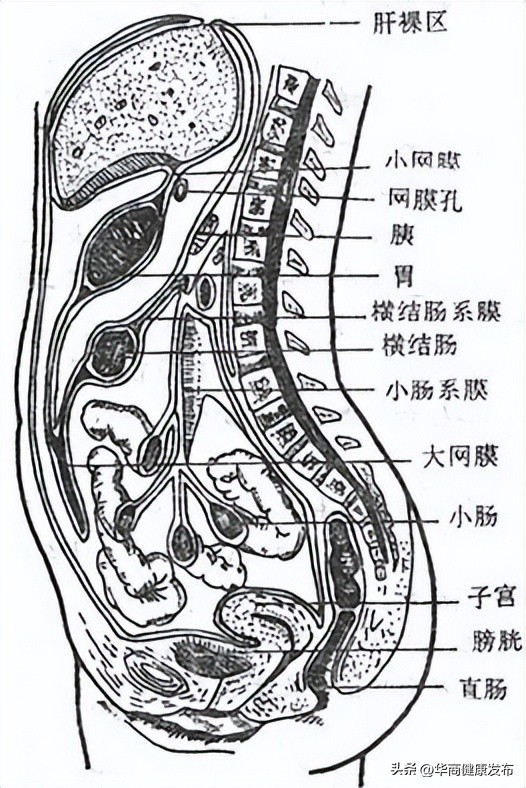 孕妇20分钟一泡尿怎么回事,孕妇总是憋很大一泡尿