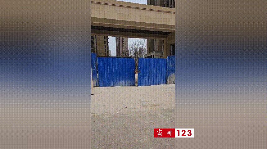 霸州一小区工地擅自撕毁政府封条！嚣张违法行为是谁给的底气？