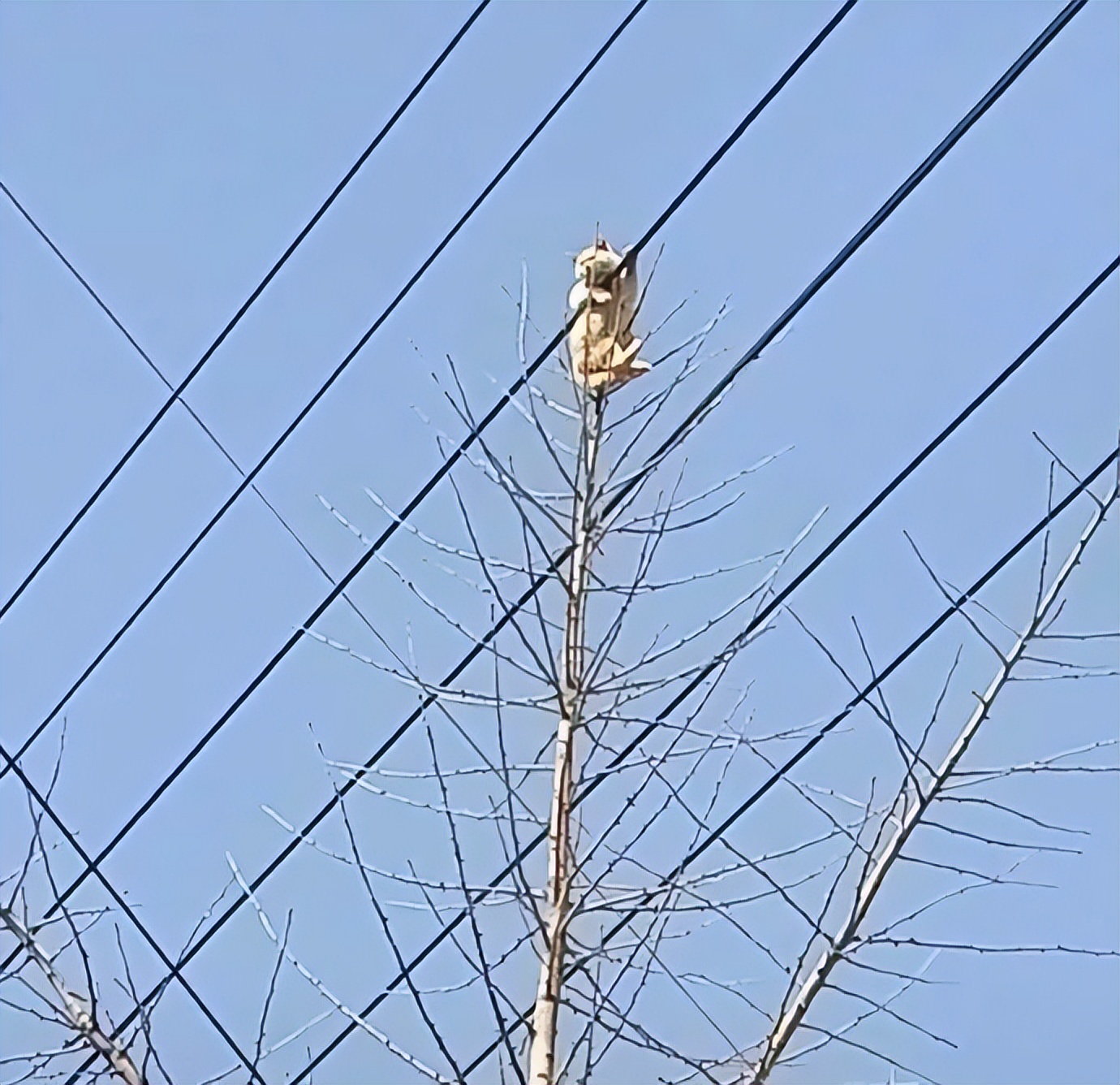 含蓄低调让人不会发现的情侣头像,隐晦又不易察觉的情侣头像