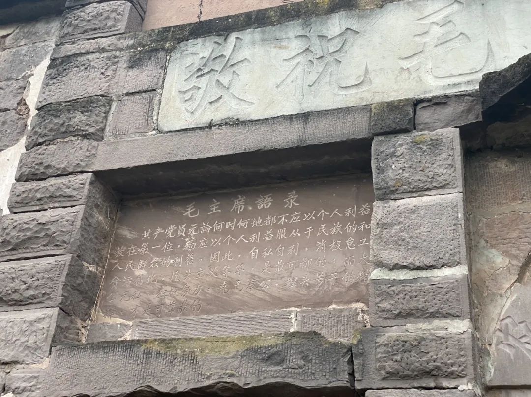 成都旅游豌豆尖,成都仰天窝近郊爬山推荐