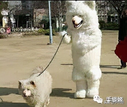 抖音火爆+taptap排行榜第一的躺平游戏,居然夺走了我1小时的人生