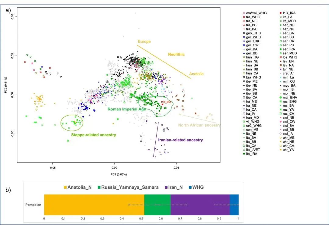 特考韦瑞和布林西多福韦,特考韦瑞和更昔洛