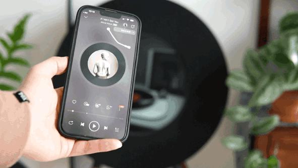 即将启幕！“设计驱动消费——2023公社创意生活节”抢先看！