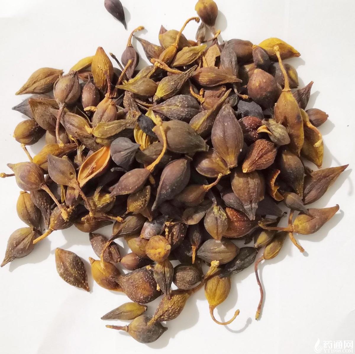 湿热下注型糖尿病偏方,中医中药治湿气重糖尿病